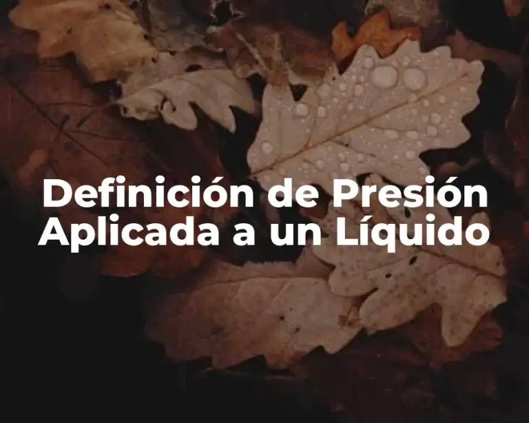 Definición de Presión Aplicada a un Líquido