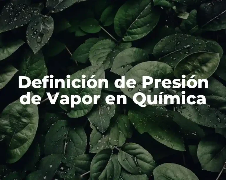 Definición de Presión de Vapor en Química