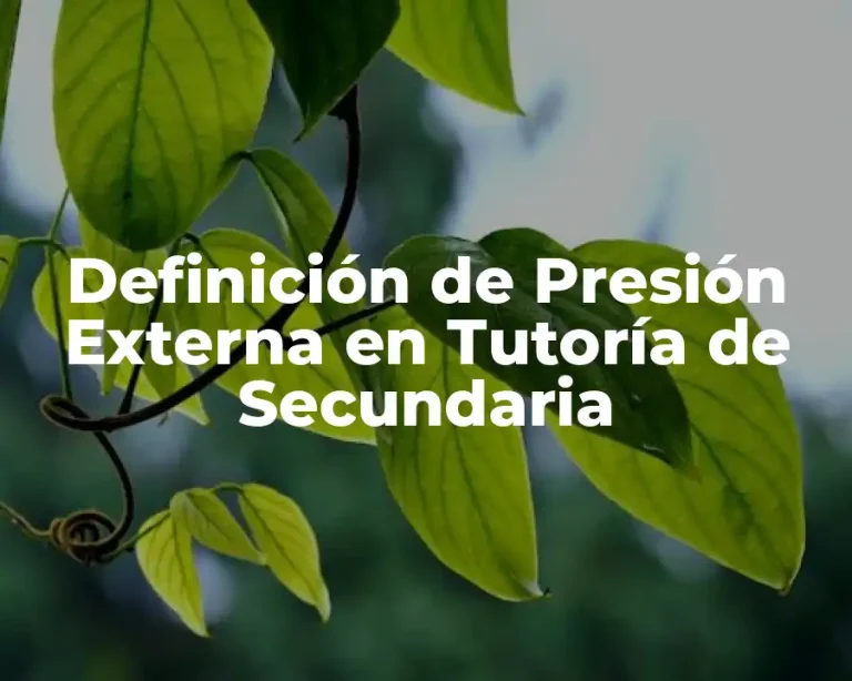 Definición de Presión Externa en Tutoría de Secundaria