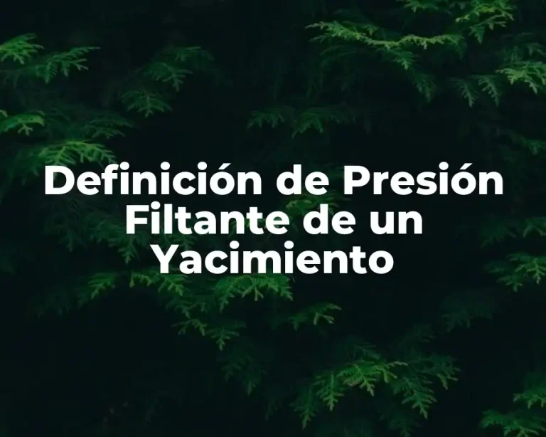 Definición de Presión Filtante de un Yacimiento