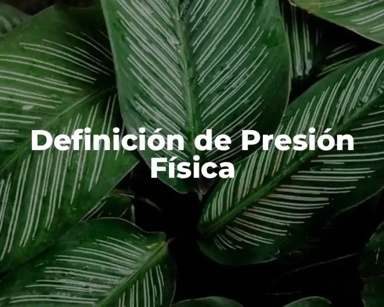 Definición de Presión Física