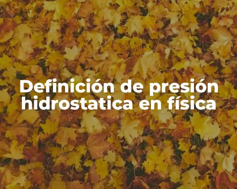 Definición de presión hidrostatica en física