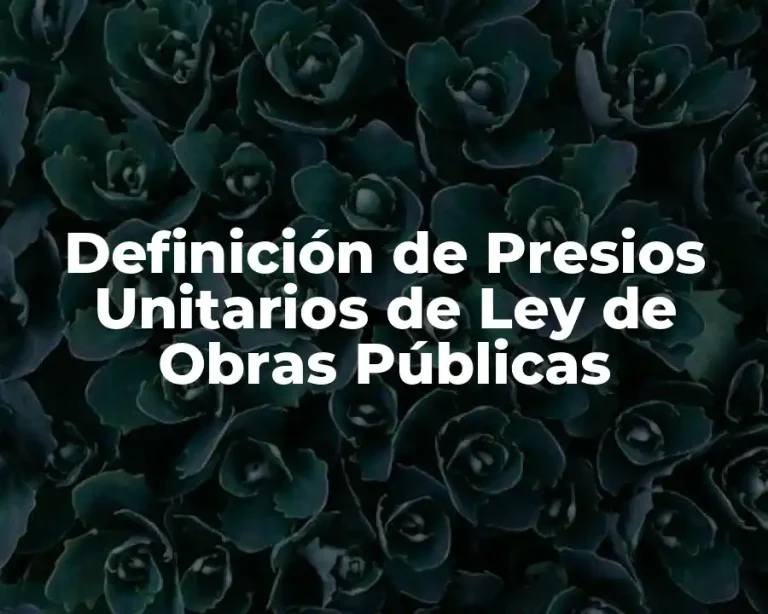 Definición de Presios Unitarios de Ley de Obras Públicas