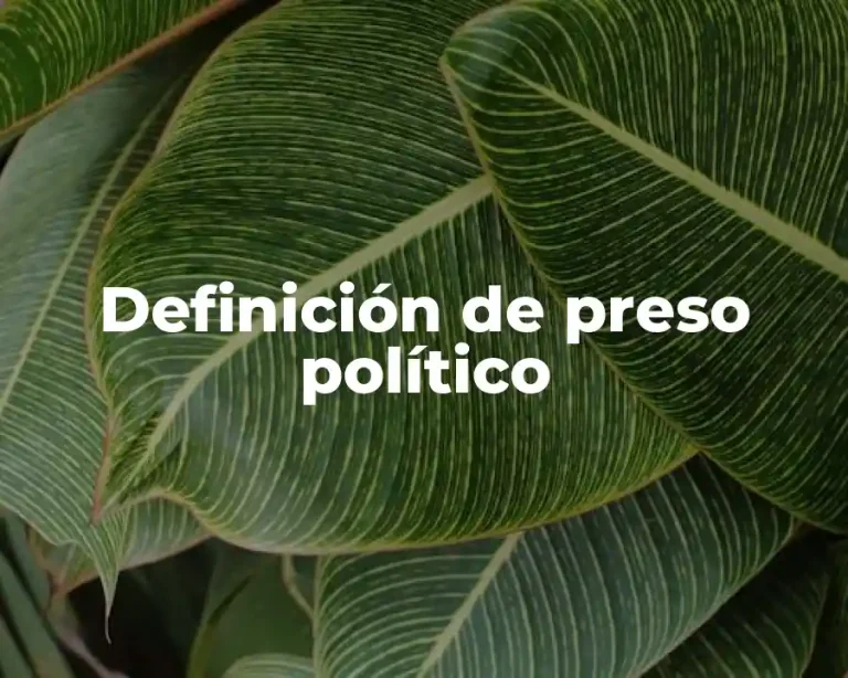 Definición de preso político