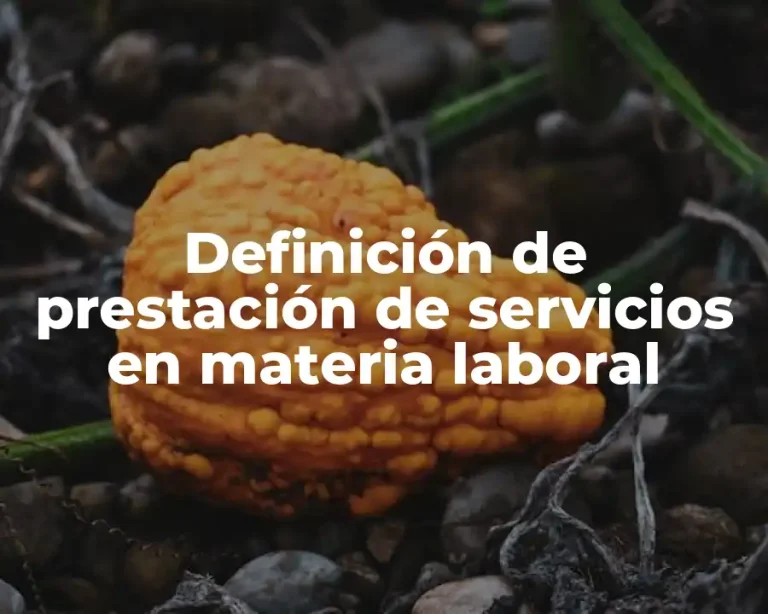 Definición de prestación de servicios en materia laboral