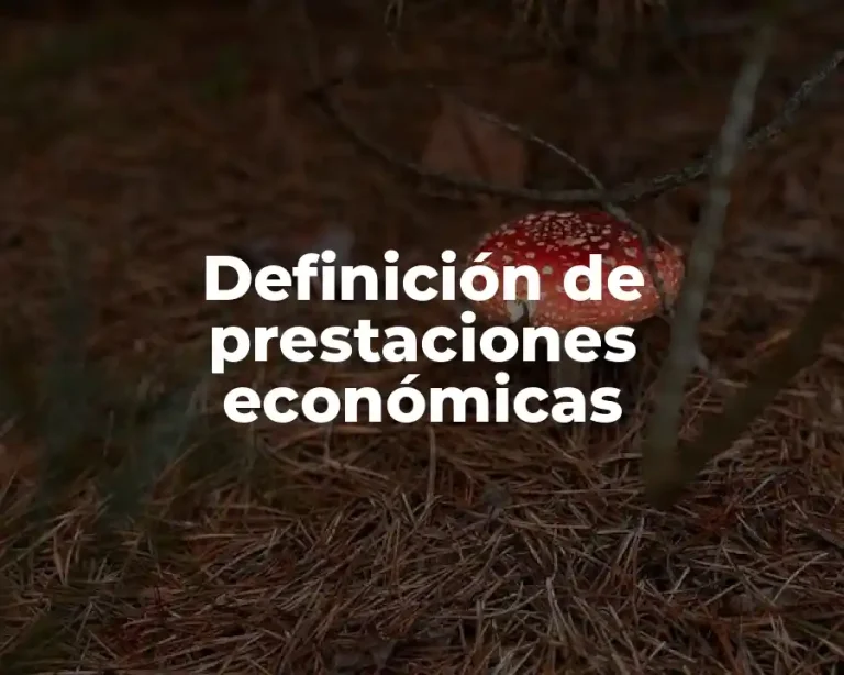Definición de prestaciones económicas