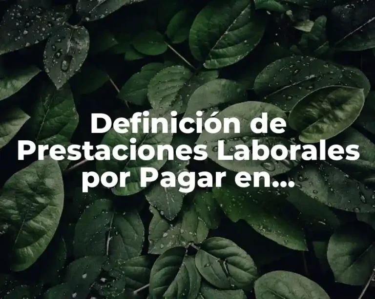 Definición de Prestaciones Laborales por Pagar en Contabilidad