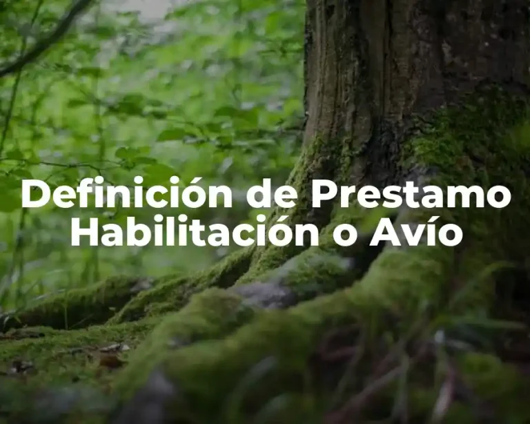 Definición de Prestamo Habilitación o Avío