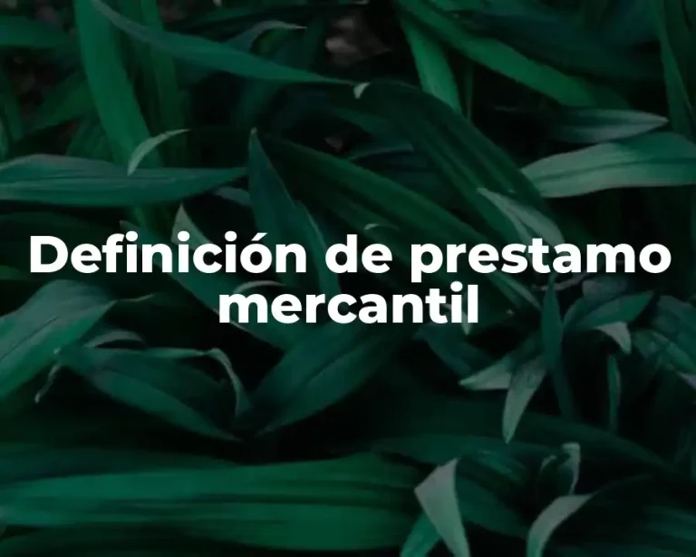 Definición de prestamo mercantil