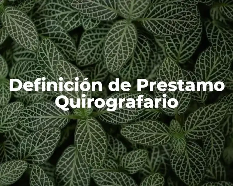Definición de Prestamo Quirografario