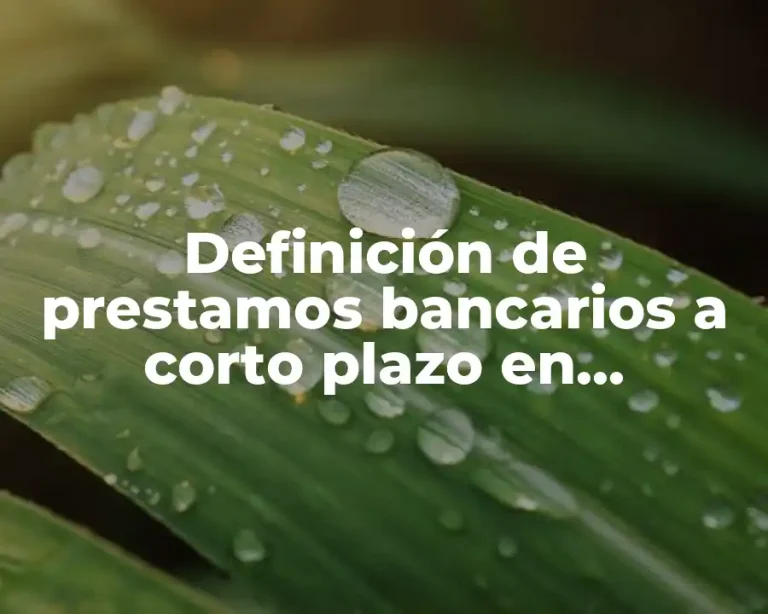 Definición de prestamos bancarios a corto plazo en contabilidad