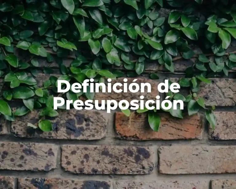 Definición de Presuposición