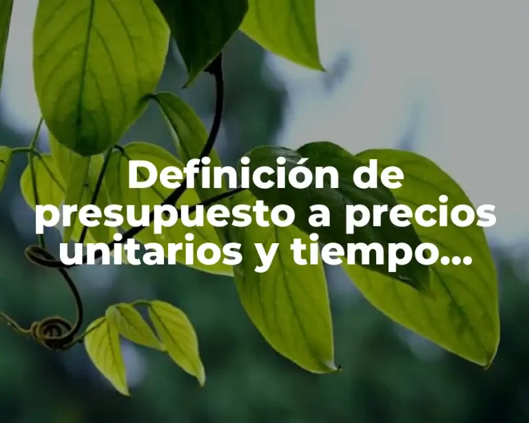Definición de presupuesto a precios unitarios y tiempo determinado