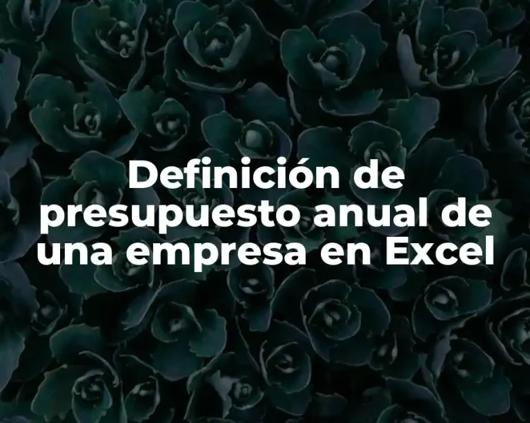 Definición de presupuesto anual de una empresa en Excel
