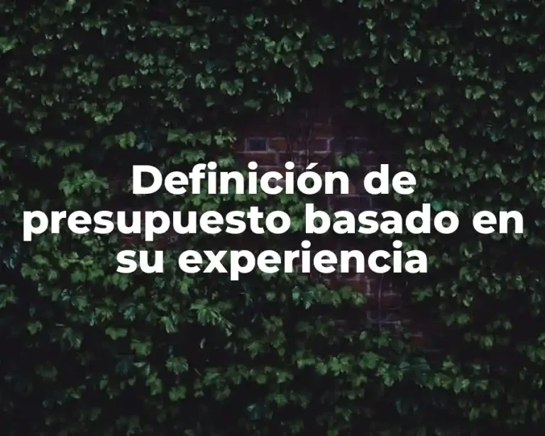 Definición de presupuesto basado en su experiencia