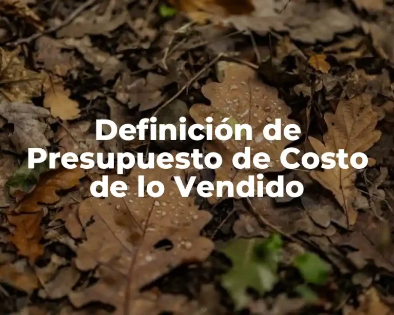 Definición de Presupuesto de Costo de lo Vendido