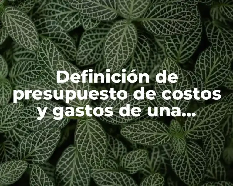 Definición de presupuesto de costos y gastos de una empresa