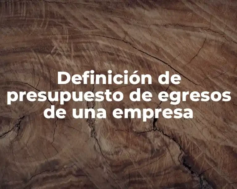Definición de presupuesto de egresos de una empresa