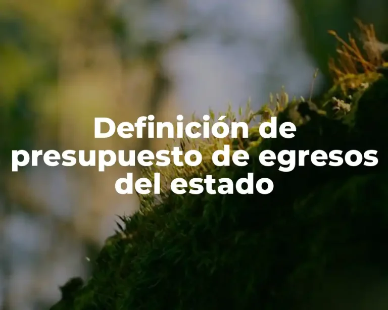 Definición de presupuesto de egresos del estado
