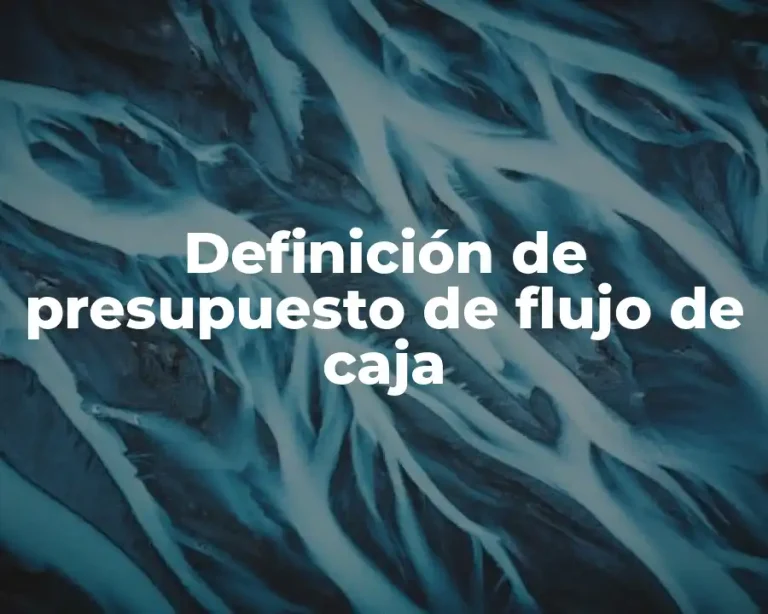 Definición de presupuesto de flujo de caja
