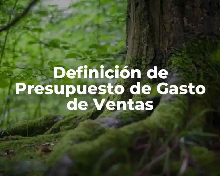 Definición de Presupuesto de Gasto de Ventas
