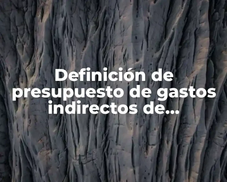 Definición de presupuesto de gastos indirectos de fabricación