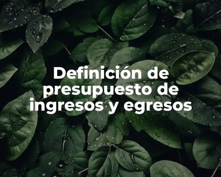 Definición de presupuesto de ingresos y egresos