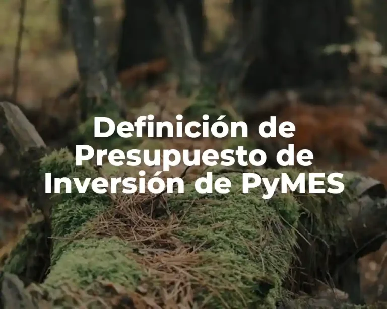 Definición de Presupuesto de Inversión de PyMES