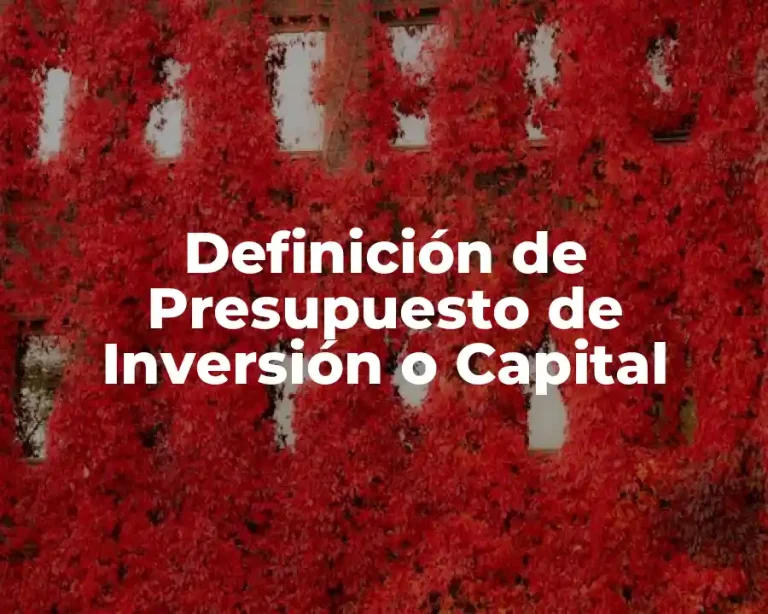 Definición de Presupuesto de Inversión o Capital