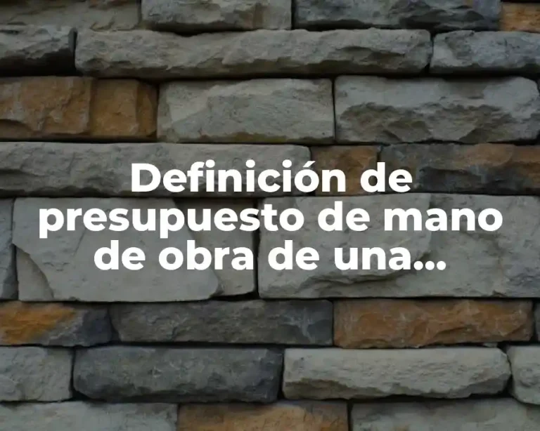 Definición de presupuesto de mano de obra de una empresa