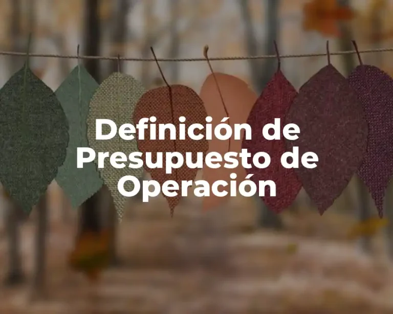 Definición de Presupuesto de Operación