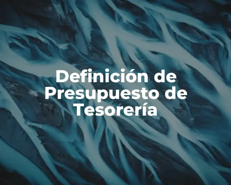 Definición de Presupuesto de Tesorería
