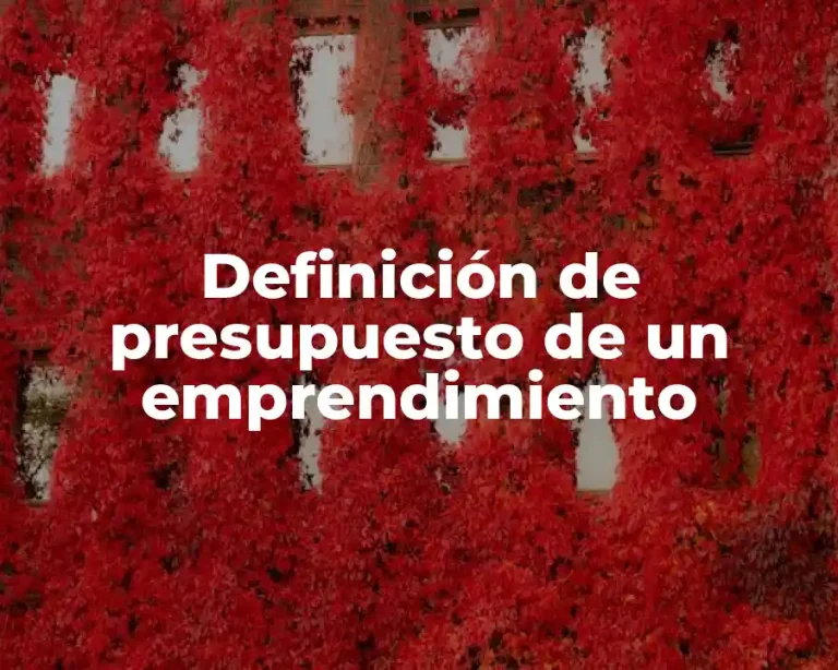 Definición de presupuesto de un emprendimiento