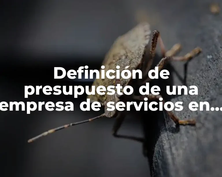 Definición de presupuesto de una empresa de servicios en Excel