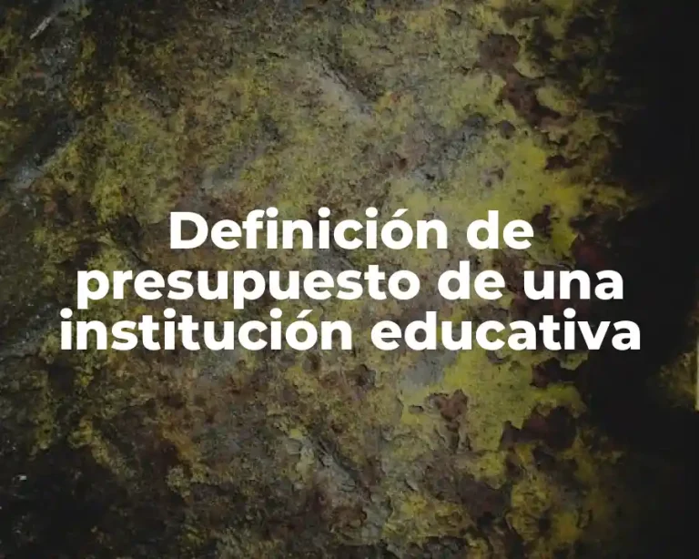 Definición de presupuesto de una institución educativa
