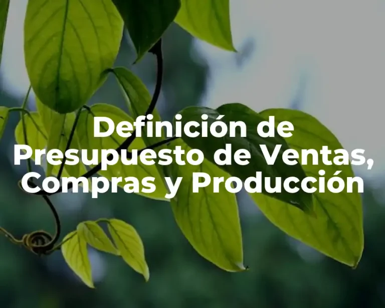 Definición de Presupuesto de Ventas, Compras y Producción