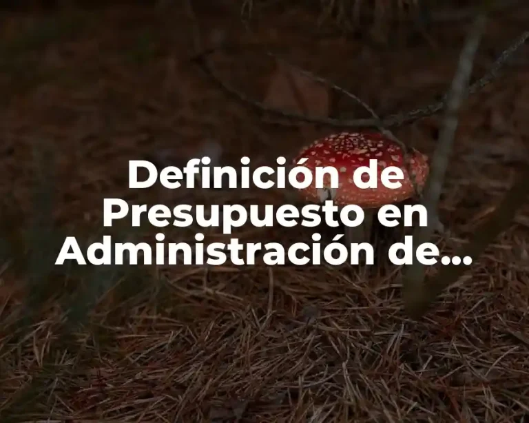 Definición de Presupuesto en Administración de Empresas