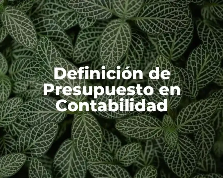 Definición de Presupuesto en Contabilidad