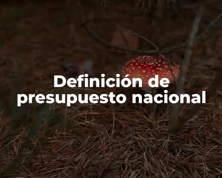 Definición de presupuesto nacional
