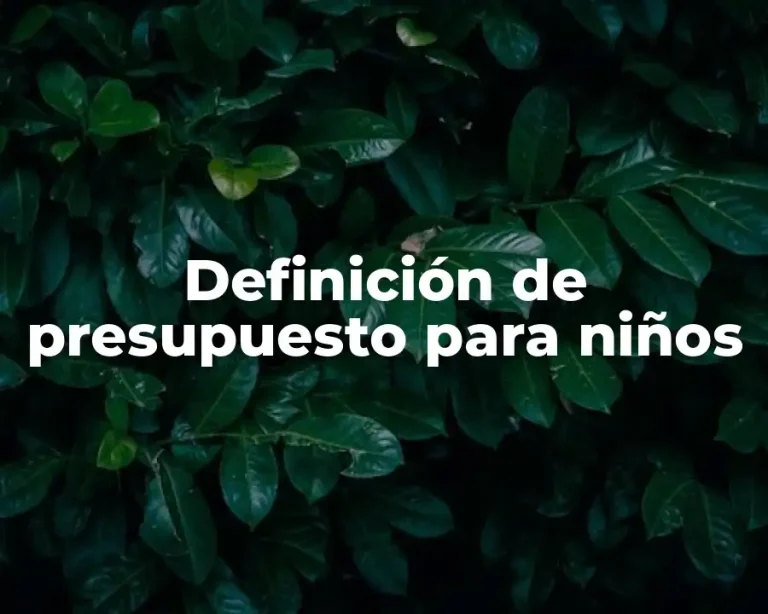 Definición de presupuesto para niños