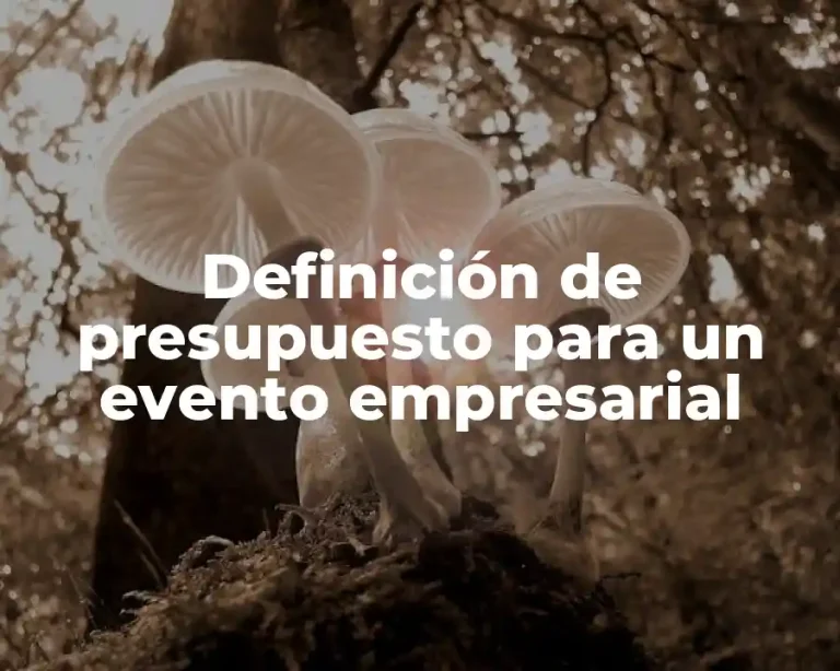 Definición de presupuesto para un evento empresarial