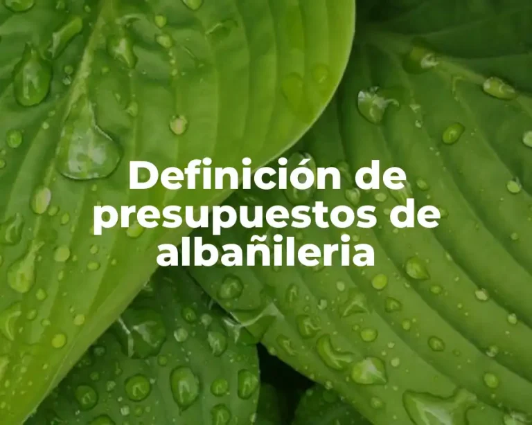 Definición de presupuestos de albañileria