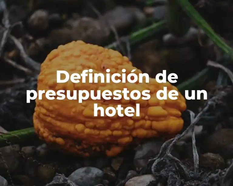 Definición de presupuestos de un hotel