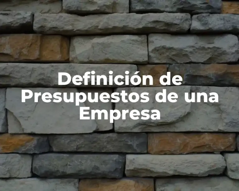 Definición de Presupuestos de una Empresa