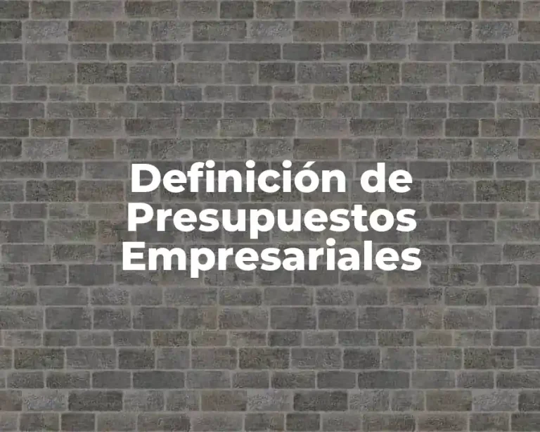 Definición de Presupuestos Empresariales
