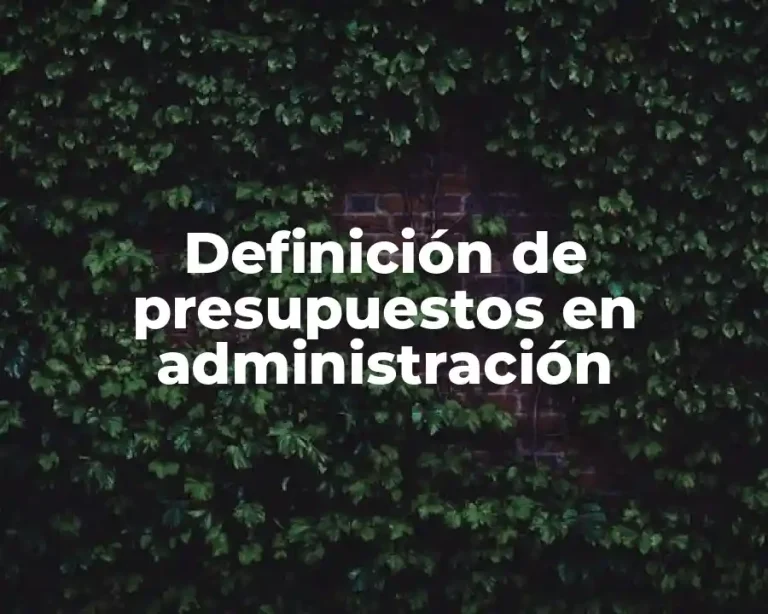Definición de presupuestos en administración