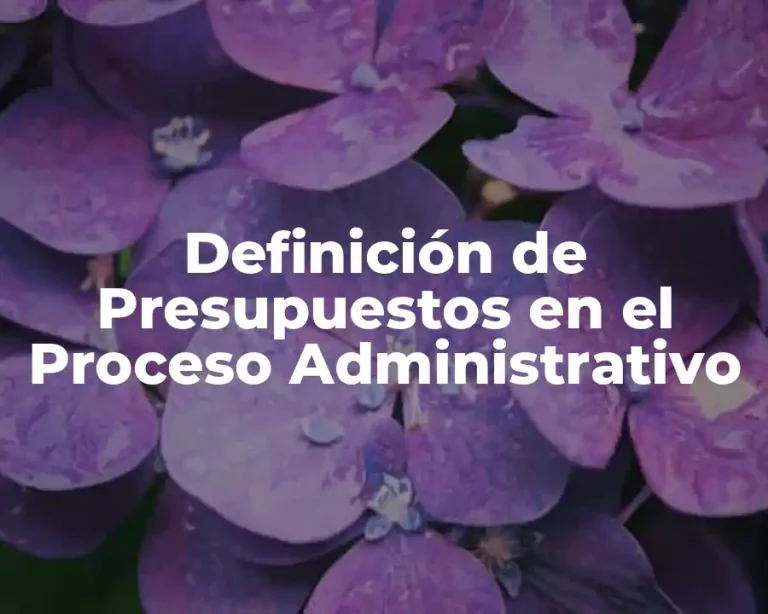 Definición de Presupuestos en el Proceso Administrativo
