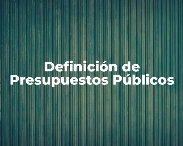 Definición de Presupuestos Públicos