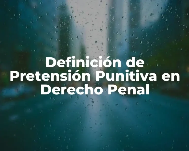 Definición de Pretensión Punitiva en Derecho Penal