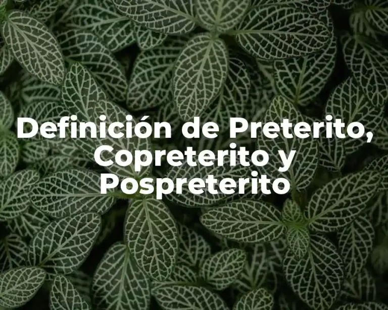 Definición de Preterito, Copreterito y Pospreterito